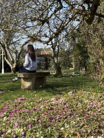 Jardin de L'Auberge de Guillaume avec les primevères en fleurs